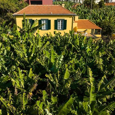 Villa Casa D`Avó Celina Funchal  Exterior foto