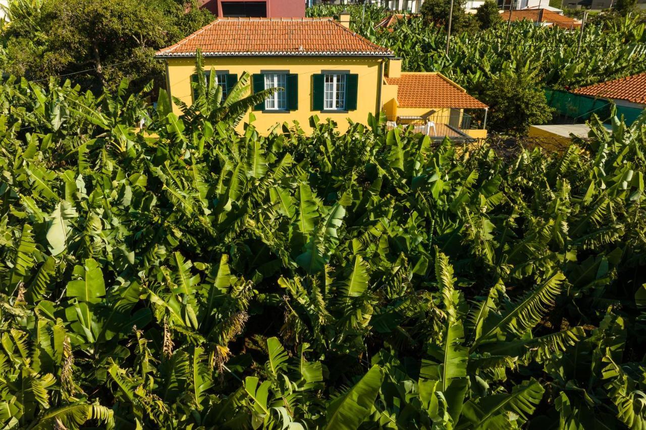 Villa Casa D`Avó Celina Funchal  Exterior foto